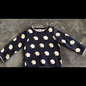 Janine and Jack hedgehog sweater